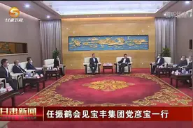 任振鹤会见宝丰集团党彦宝一行视频封面