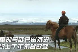 纪录片：这里的马只出不进，血统千年未变，过去只有贵族才能拥有视频封面