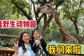 带闺女逛长隆野生动物园，喂老虎看三胞胎大熊猫，这门票花的真值视频封面