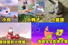 盘点五只超可爱的萌物，你想抱只回家吗？奥特曼宝宝可爱爆了！视频封面