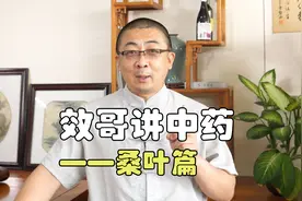 小小桑叶各种功效令人赞叹不已，你会大吃一惊的视频封面