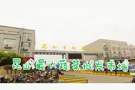 苏州昆山最大蔬菜批发市场，蔬菜都好便宜，大白菜5元10颗视频封面