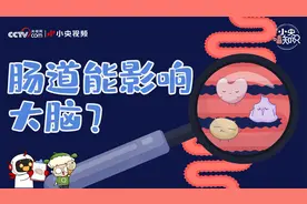 帕金森、渐冻症、自闭症……肠道微生物如何影响大脑？视频封面