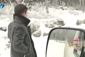 侣行：团队成员犯了错还油嘴滑舌抖机灵，270狠心惩罚不讲情面