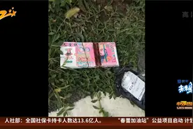 小强帮忙团 女子收到冥币 究竟是谁寄出？视频封面