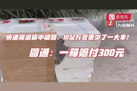 快递箱运输中破损，10公斤冬枣少了一大半！圆通：一箱赔付300元视频封面