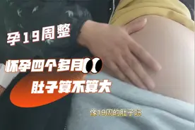 怀孕19周整，四个多月的肚子，感觉有点大视频封面
