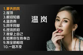 温岚十首好听的歌曲视频封面