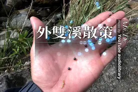 德先生 【外雙溪散策】屌嘎喊救人喔 19/02/12  | 台灣海釣视频封面