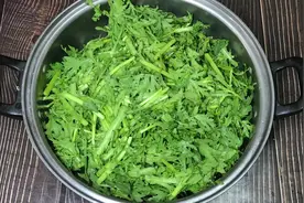 春天女人不吃肉，也要多吃这道菜，就算你胖成球，也让你瘦成猴视频封面