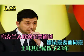 乌克兰入欧须全票通过，德法意表面同意，土耳其已候选了23年！视频封面