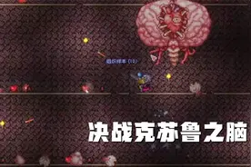 泰拉瑞亚：决战克苏鲁之脑暗墨能战胜吗视频封面