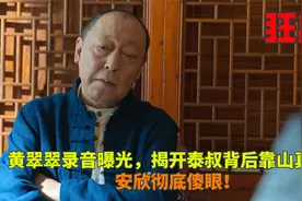 狂飙：黄翠翠录音曝光，揭开泰叔背后靠山真面目，安欣彻底傻眼！