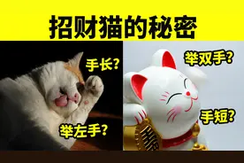 招财猫的秘密，你知道吗？举左手or举右手，意思大不同！