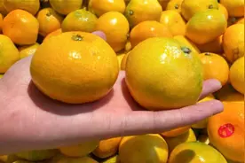 买橘子要选“母”的，底部一眼就能辨清，个个皮薄肉甜，快学学视频封面