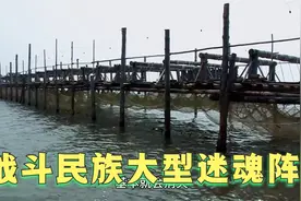 俄罗斯大型迷魂阵！专门捕捞黑龙江洄游大马哈鱼！视频封面