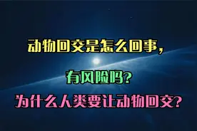 动物回交是怎么回事，有风险吗？为什么人类要让动物回交？视频封面