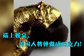 蛰伏17年，美国亿万只蝉破土而出！端上餐桌，有人将蝉做成巧克力视频封面