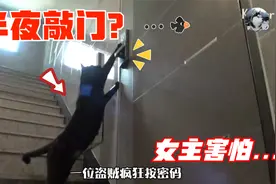 黑猫为“套路”陌生女主，夜里按她家密码锁，结果还得逞了视频封面