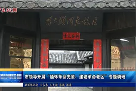 龙岩市领导开展“缅怀革命先辈 建设革命老区”专题调研视频封面