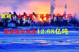 重磅！大庆下面还有一个大庆！能源储存再添12.68亿吨!视频封面