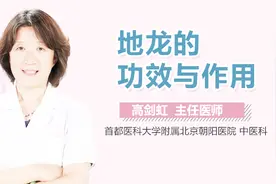 地龙的功效与作用