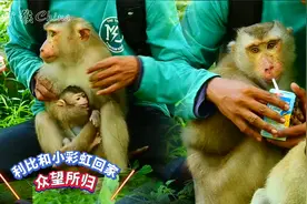 利比和小彩虹平安回家，大家信念成真，也是背后付出者的功劳