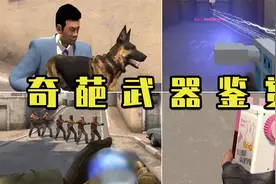CS奇葩武器鉴赏！这些东西真的能当武器？！视频封面