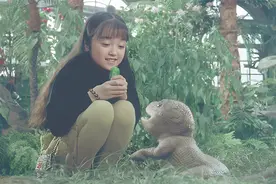 小女孩用爱心孵化上古龙蛋，龙宝宝一出生就认她做妈妈视频封面