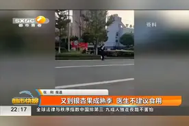 又到银杏果成熟季  医生不建议食用