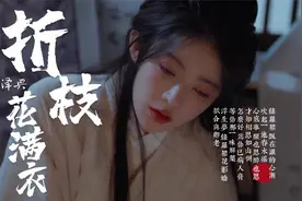 一首好听的古风歌曲《折枝花满衣》醒也思醉也思 才知相思如山倒视频封面
