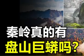 秦岭真的有盘山巨蟒吗？世界上最大的蛇到底有多大？