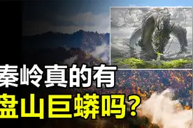 秦岭真的有盘山巨蟒吗？世界上最大的蛇到底有多大？视频封面