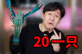 试吃澳洲的淡水小龙虾，一斤要卖100块，是不是智商税？视频封面
