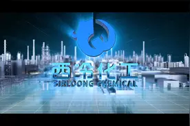 菏泽西冷化工有限公司视频封面