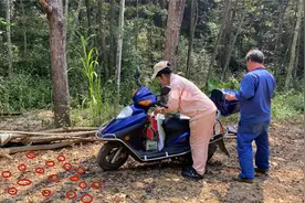 江西夫妇捡0.5元一斤的野果子，加工后一斤卖40元，你吃过吗？视频封面