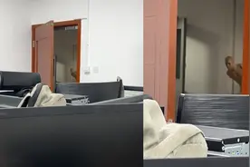 女生教室抬头感觉门口“有人”注视自己，放大一看：魂都吓没了视频封面