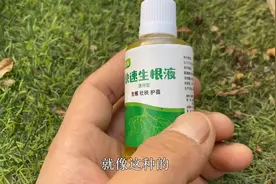 买植物送的生根粉能用吗？如果想把花养好，就多花“几块钱”视频封面
