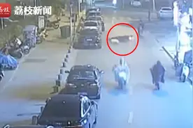 未拴绳拉布拉多横穿马路至人四条肋骨骨折  肇事犬主人赔偿四万视频封面