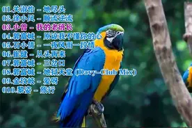 《关淑怡-地尽头》（顺流逆流）（我的老班长）（从头再来）