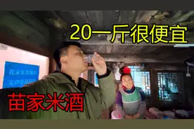 穷游小伙探访苗族人家，苗家米酒一斤20元，不贵很便宜！真好喝视频封面
