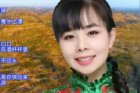王二妮陕北情歌精选16首大联唱