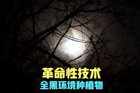 美国研创革命性技术：在全黑环境种植物，人类或完全实现食物自由视频封面