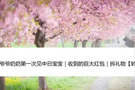 日本爷爷奶奶第一次见中日宝宝｜收到的巨大红包｜拆礼物【转载】视频封面