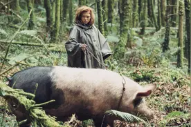 在未来世界，单身的人在规定时间没找到伴侣，就会变成各种动物！