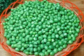 保存豌豆时，焯水和直接放冰箱是大错，教你一招，放一年新鲜碧绿视频封面