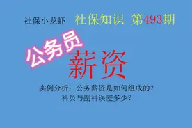 实例分析：公务薪资组成的？科员与副科相差多少？视频封面