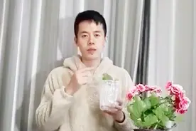 修剪下来的叶片不要丢！用这个办法，让你的丽格海棠一盆变十盆视频封面