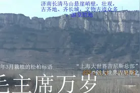 济南长清马山栽植松柏字“毛主席万岁”，特别吸引人【2021.12.12视频封面