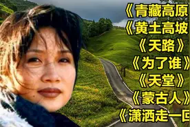 李娜高音歌曲<青藏高原><黄土高坡><天路><为了谁天堂><蒙古人>